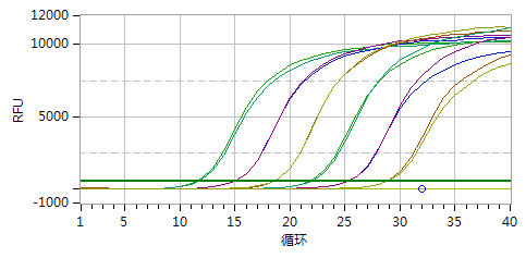 荧光定量PCR检测