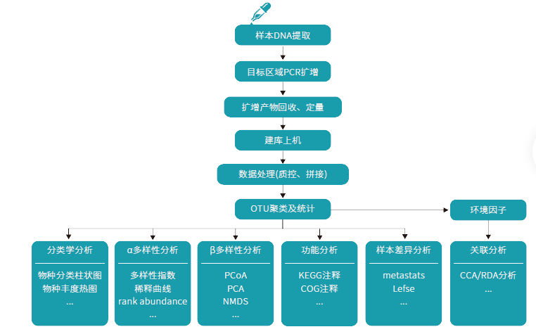 微生物多样性分析