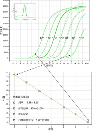 荧光定量PCR技术服务